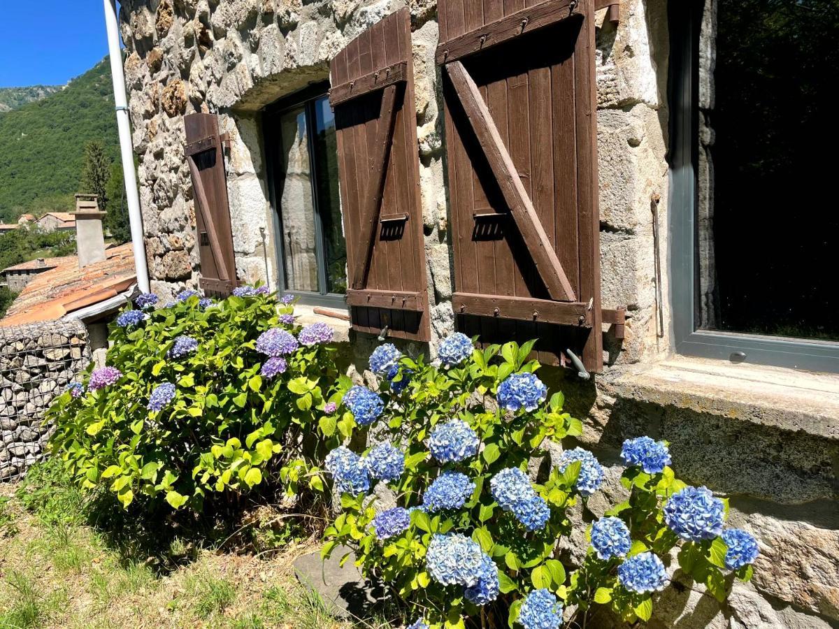 Gite Des Sausses Dans Une Nature Preservee Burzet Exterior foto