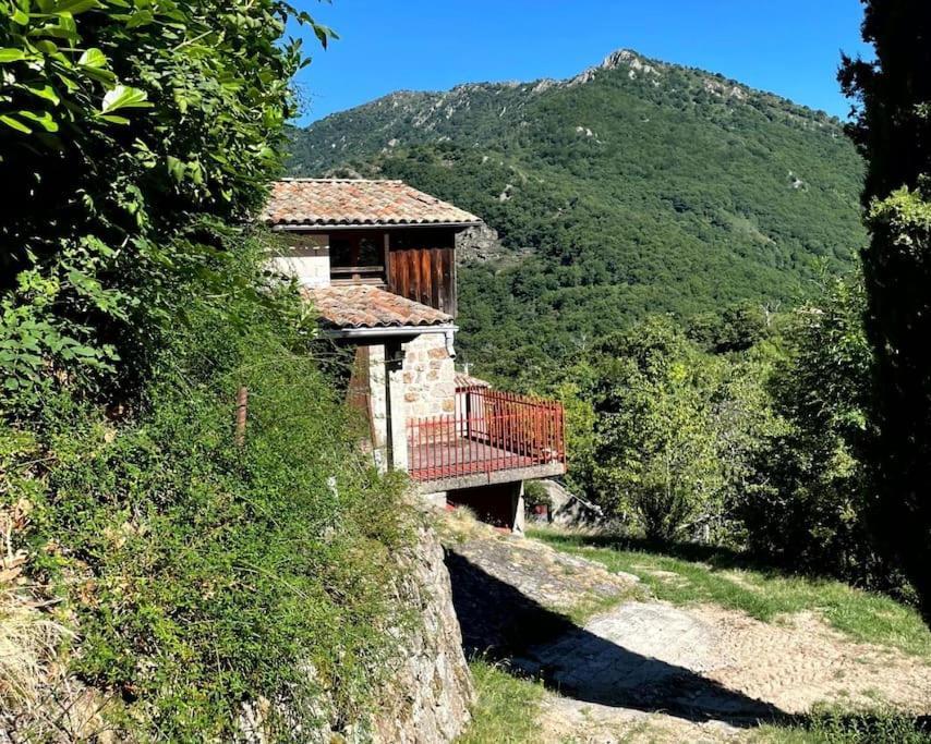 Gite Des Sausses Dans Une Nature Preservee Burzet Exterior foto